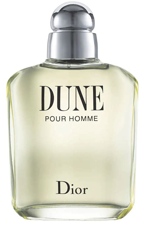 parfum dior dune homme|christian Dior dune perfume review.